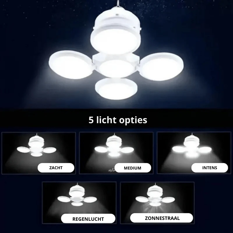 Productafbeelding 5